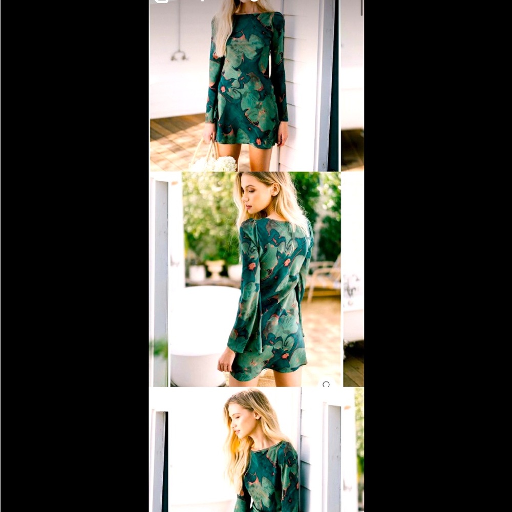 ISO - Stone Cold Fox Basier dress in green lily